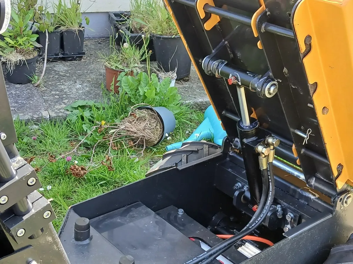 Mini Dumper with hydraulic tip - Image 2