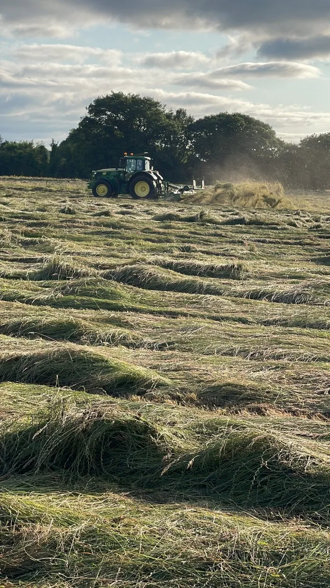 Top Quality Small Square Bales of Hay - Image 1