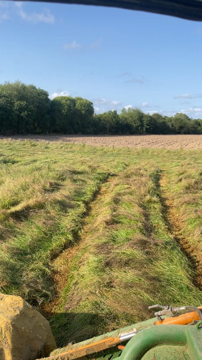 Top Quality Small Square Bales of Hay - Image 4