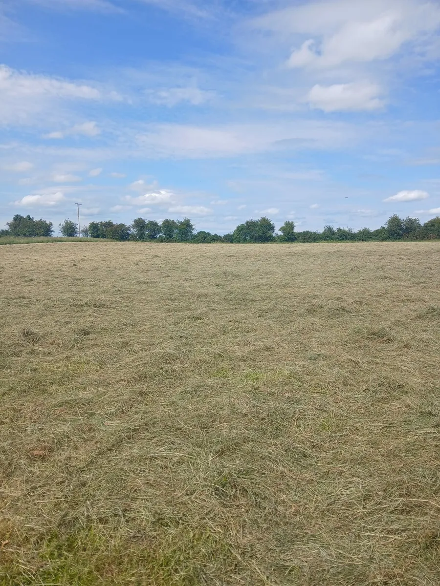Bales of Hay