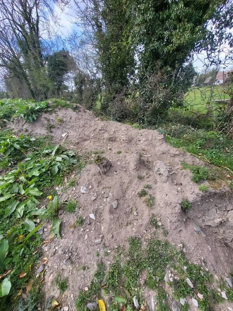 topsoil - Image 1
