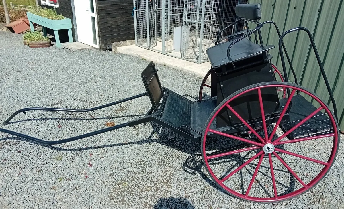 Two wheel horse carriage - Image 2