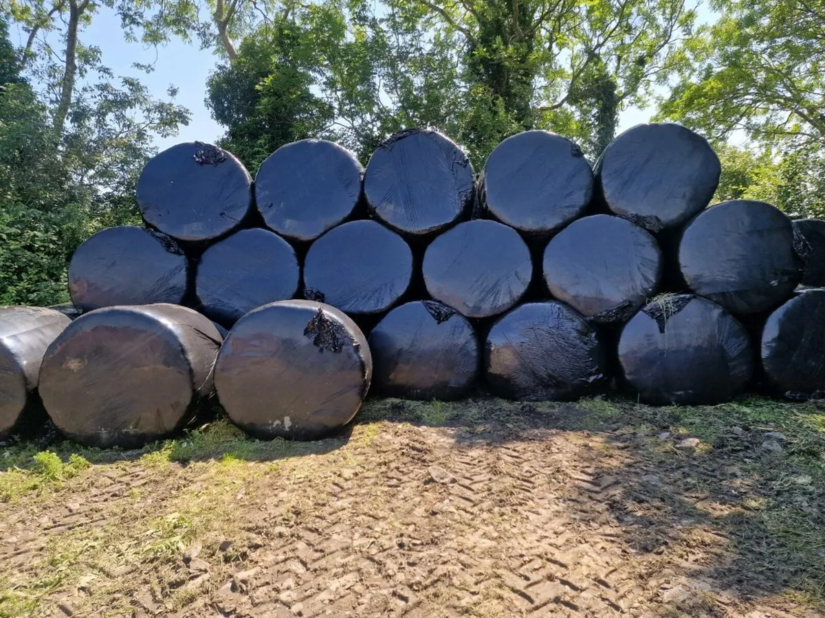 Round Bales - Image 1