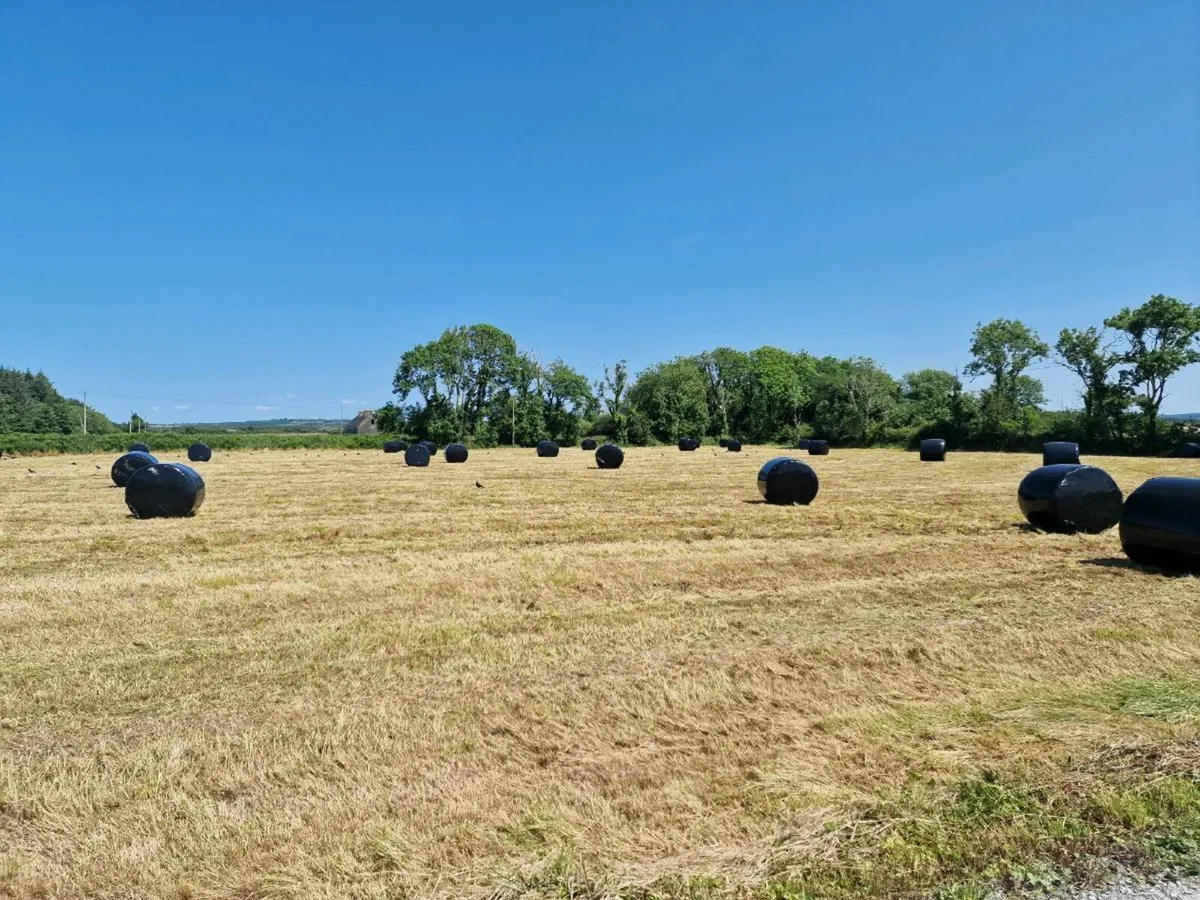 Round Bales - Image 2