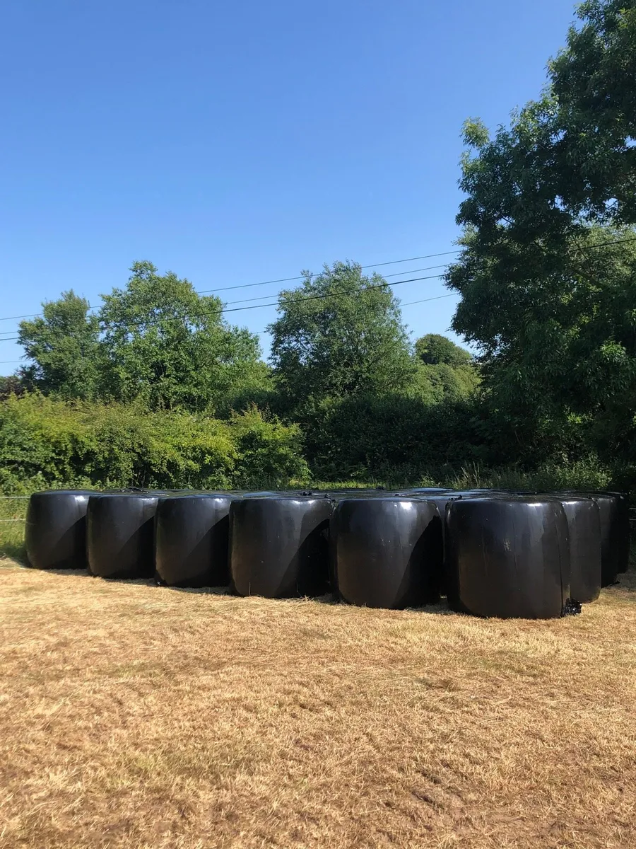 Silage