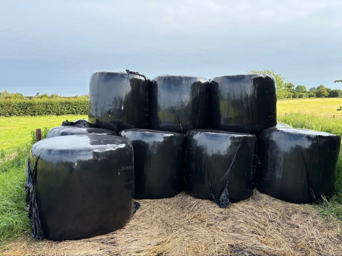 Silage