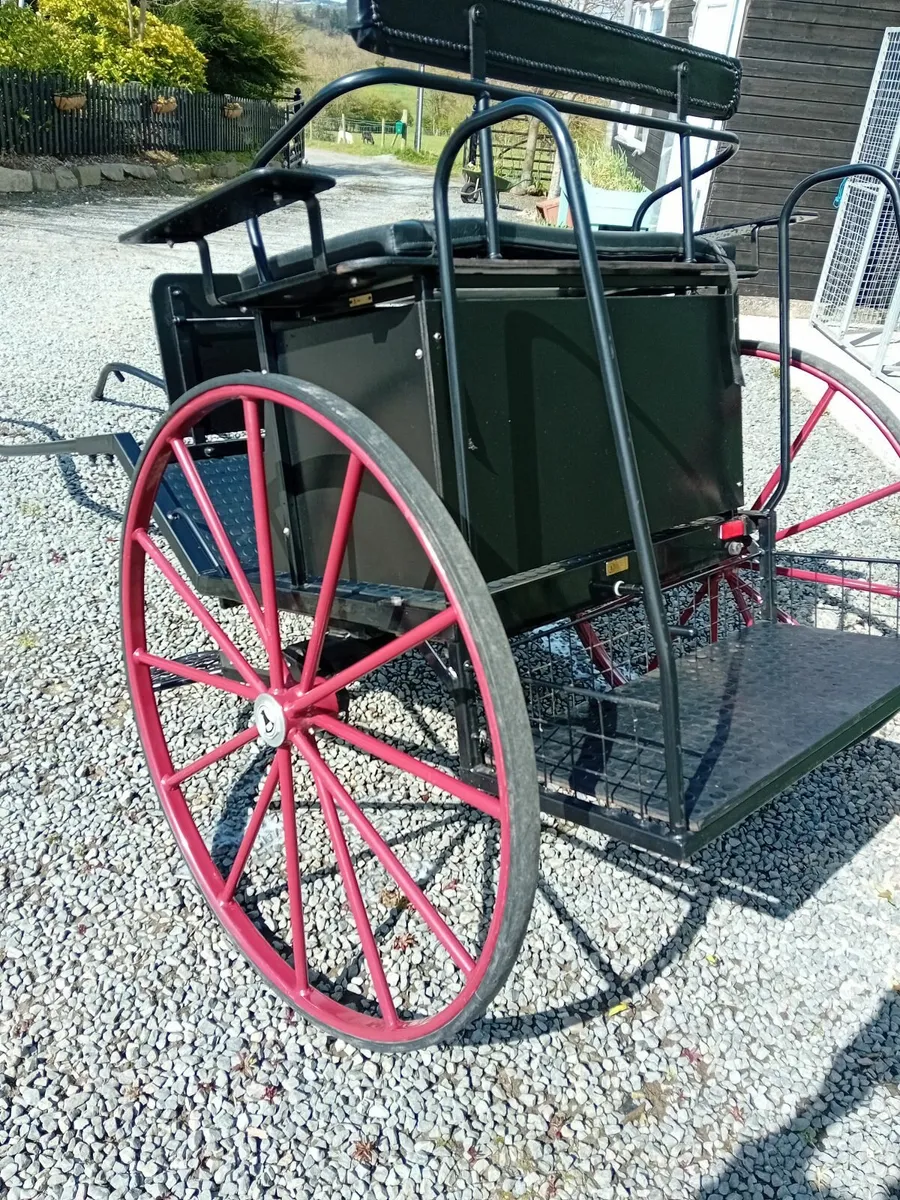 Two wheel horse carriage - Image 3
