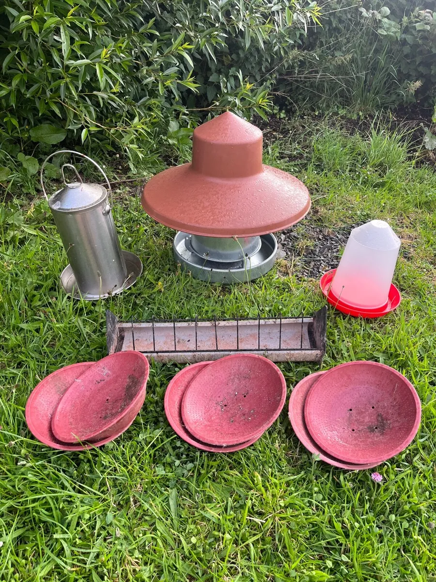 Chicken feeders