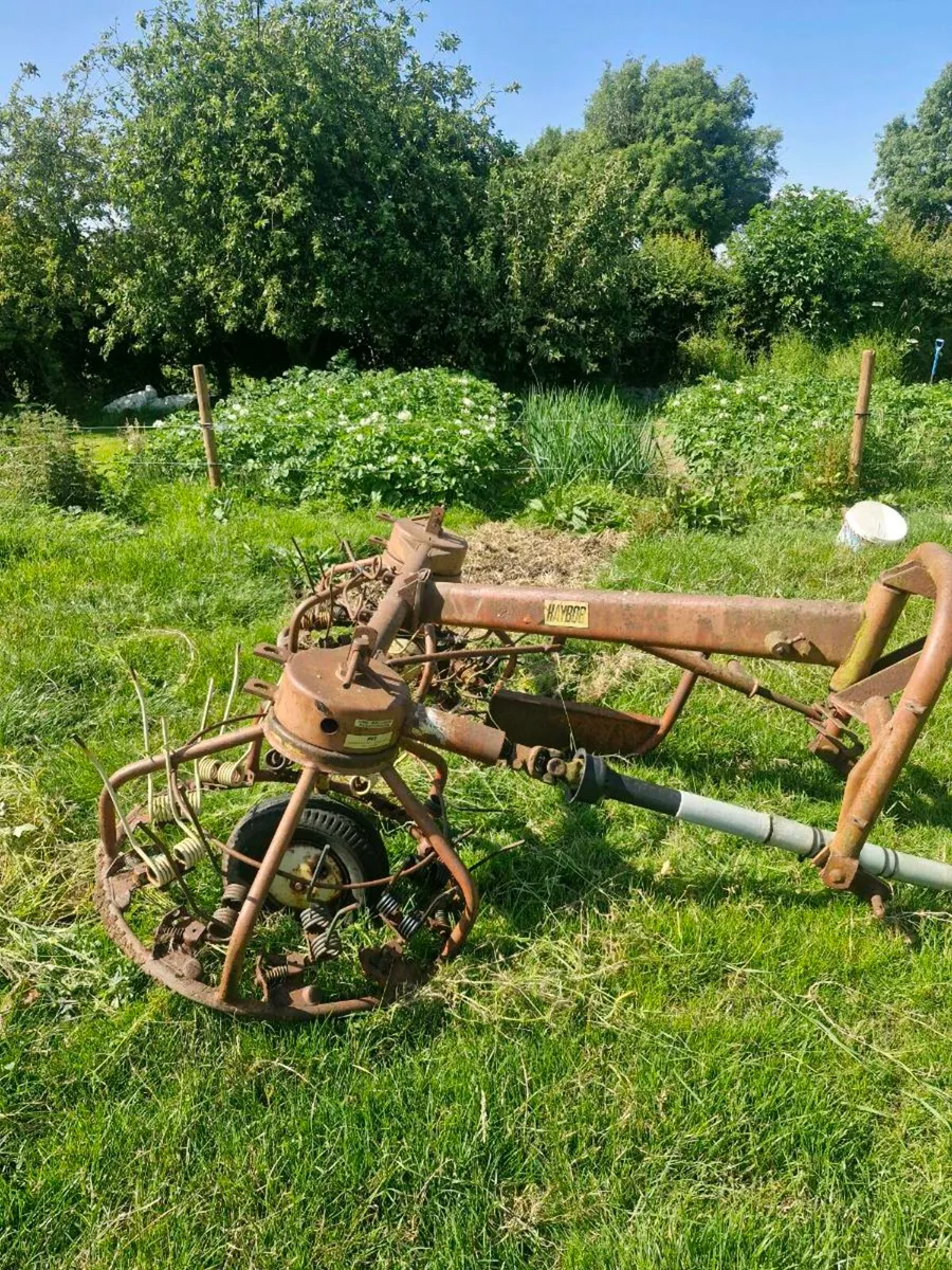 haybob - Image 1