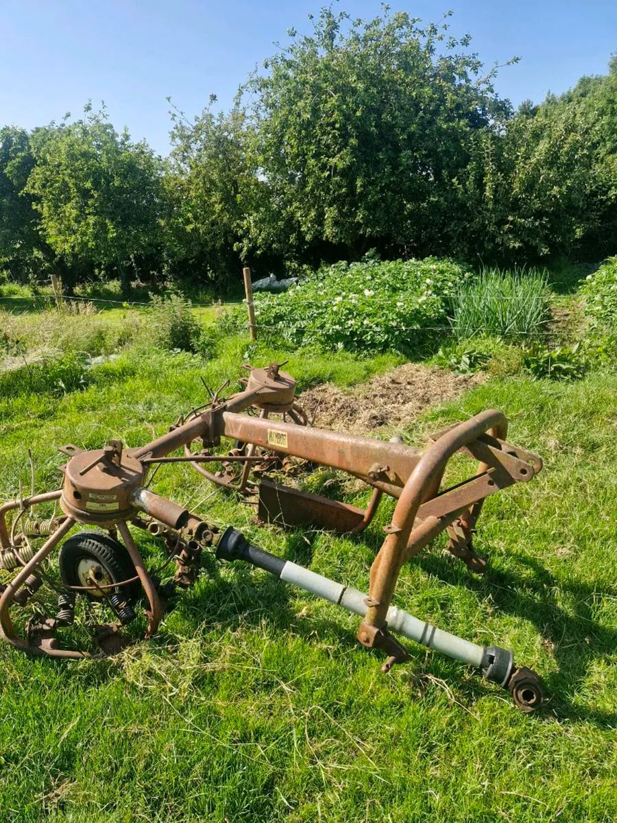 haybob - Image 2