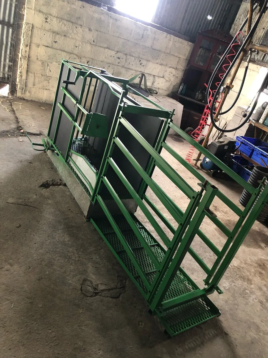 Sheep scanning crate - Image 1
