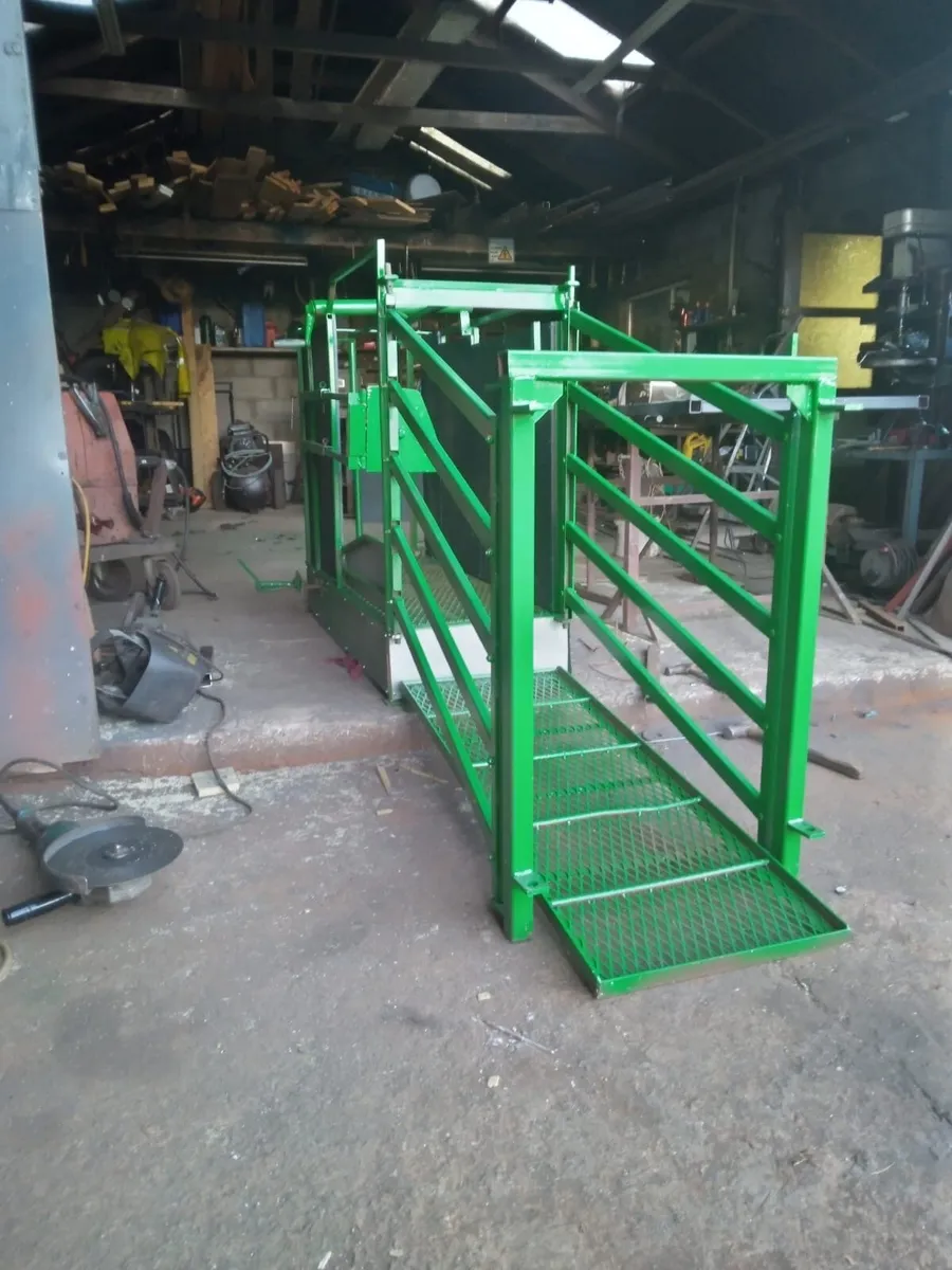Sheep scanning crate - Image 3