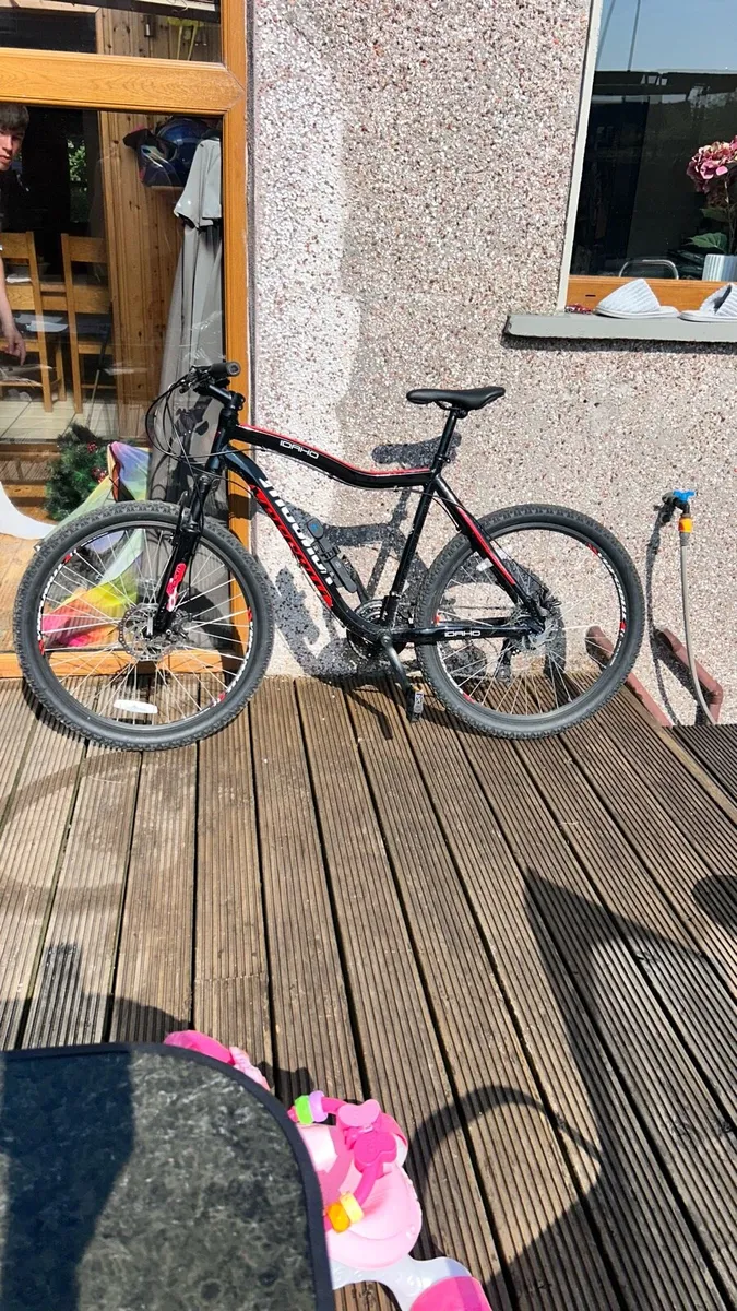 Bike - Image 2