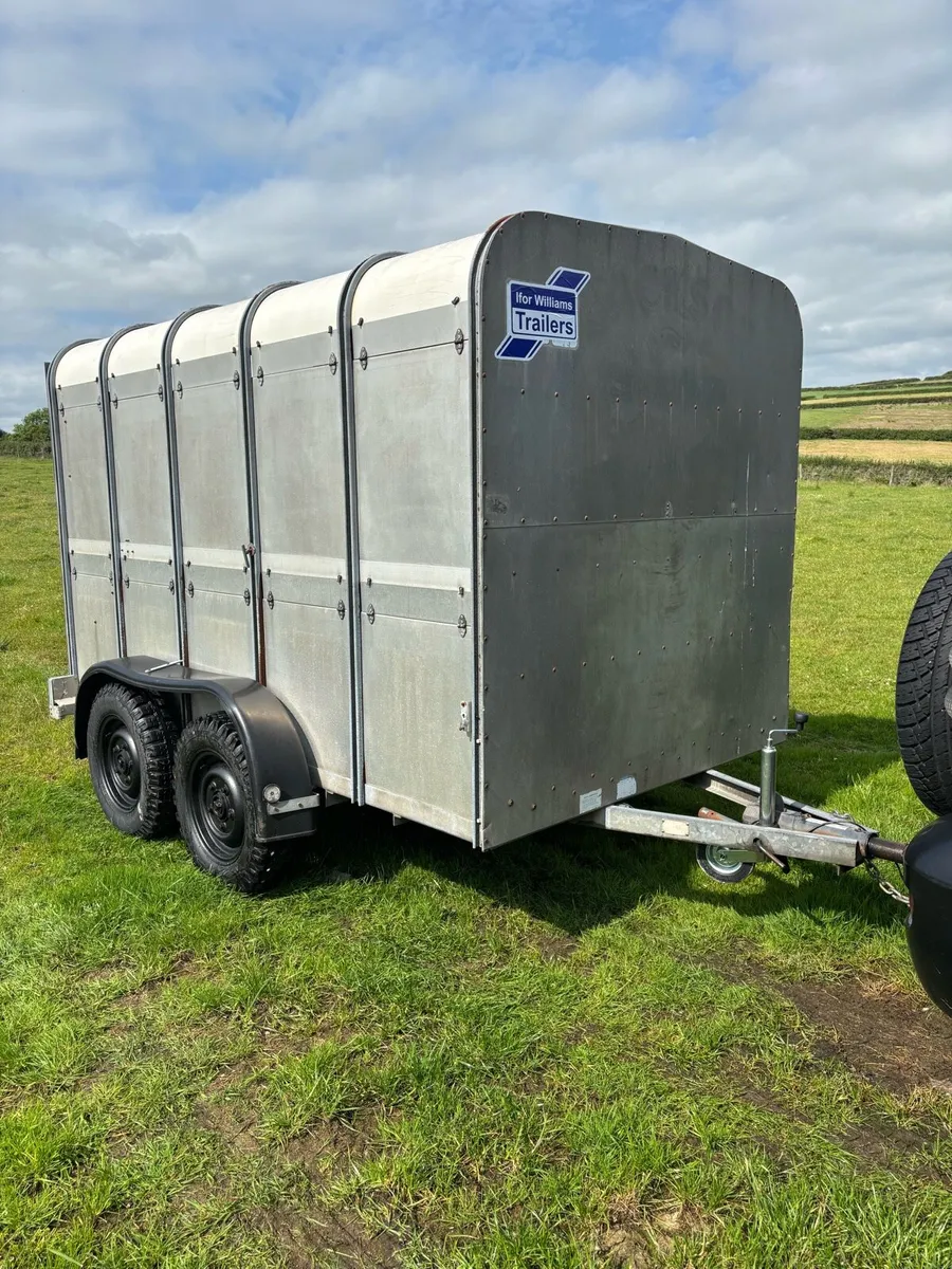 10x6 Ifor Williams Cattle box - Image 1