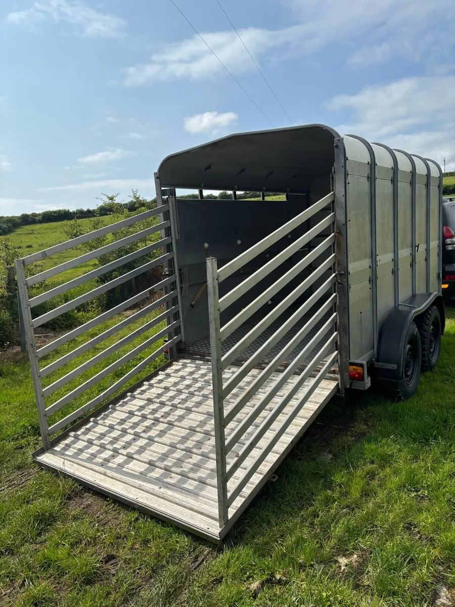 10x6 Ifor Williams Cattle box - Image 2