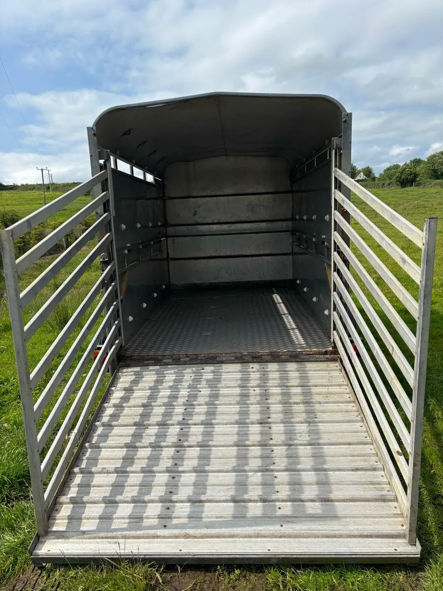10x6 Ifor Williams Cattle box - Image 3