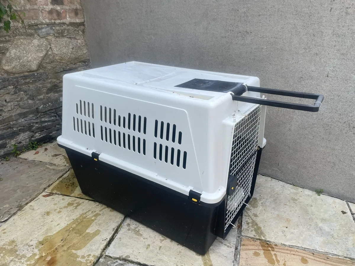 Dog travel crate - Image 1