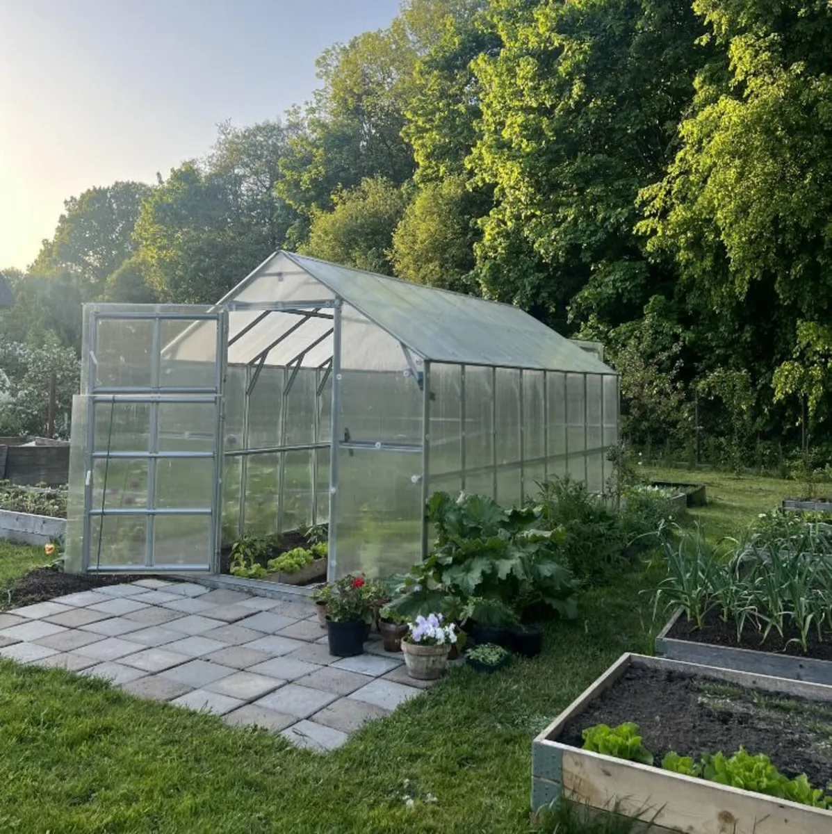 Greenhouse - House glasshouse 6mm sheeting - Image 1