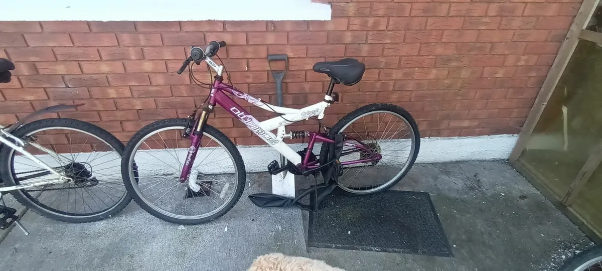 Bicycles - Image 1
