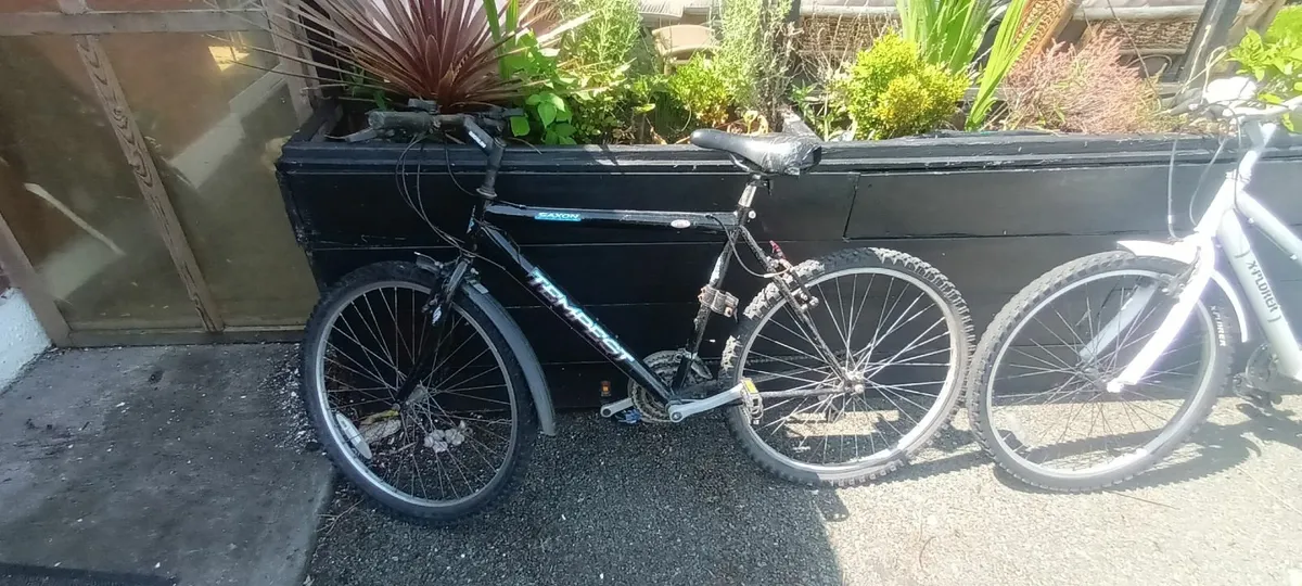 Bicycles - Image 3