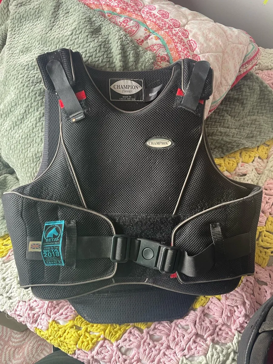 Horse riding back protecter - Image 3