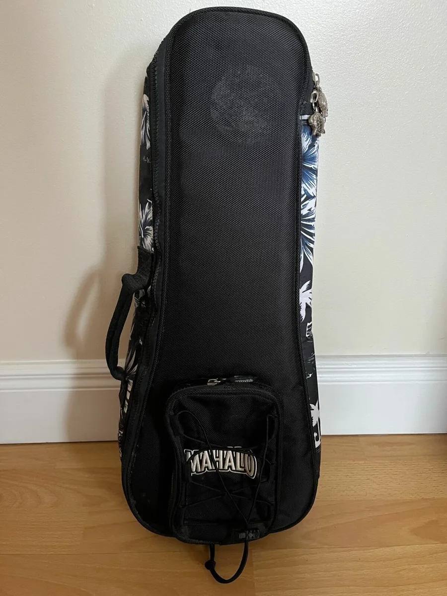 Brunswick Ukulele with case - Image 4