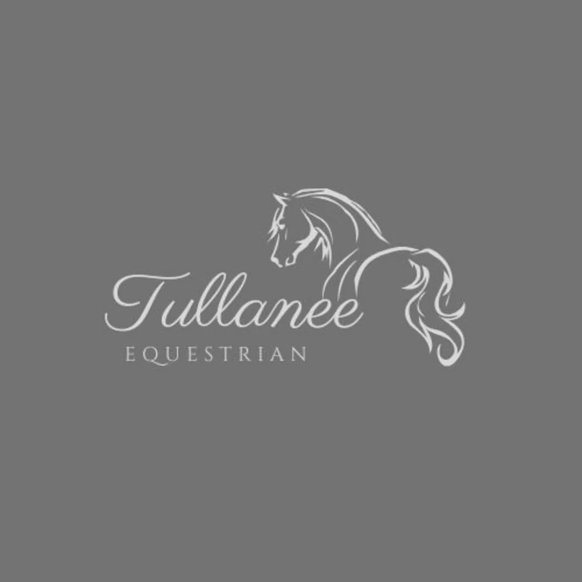 Schooling/Competition/Sales Livery