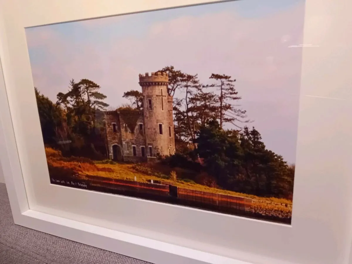Fota Castle - Image 2