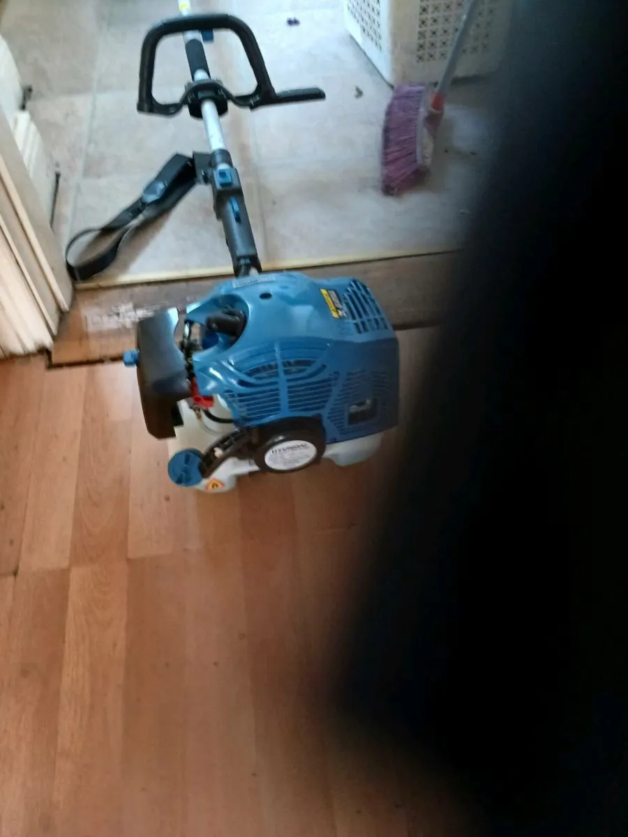 Strimmers - Image 4