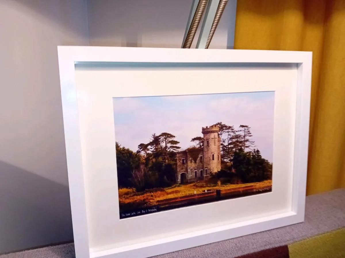 Fota Castle - Image 3