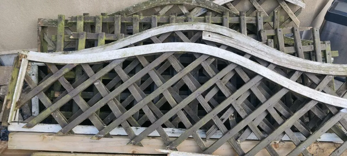 Free stuff to take away -Garden trellis and panels - Image 1