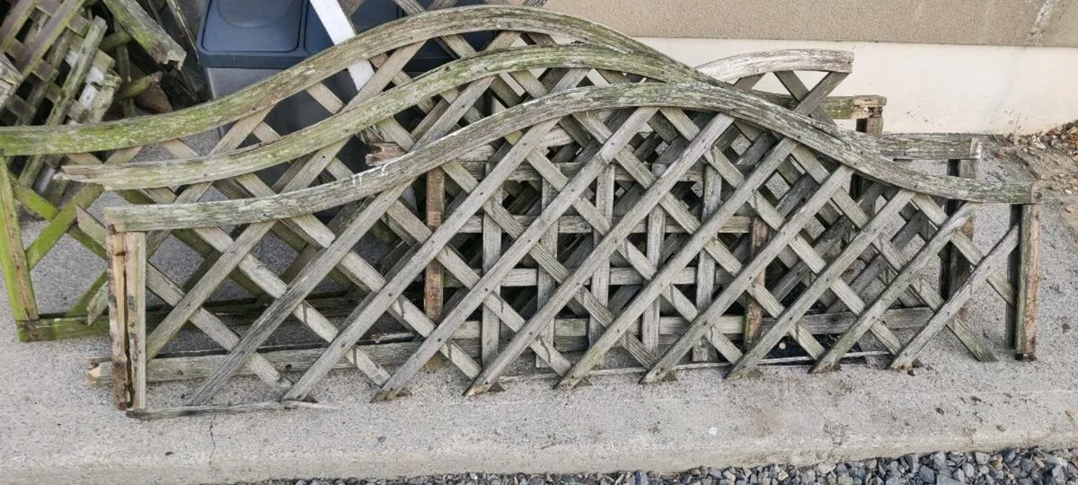 Free stuff to take away -Garden trellis and panels - Image 2