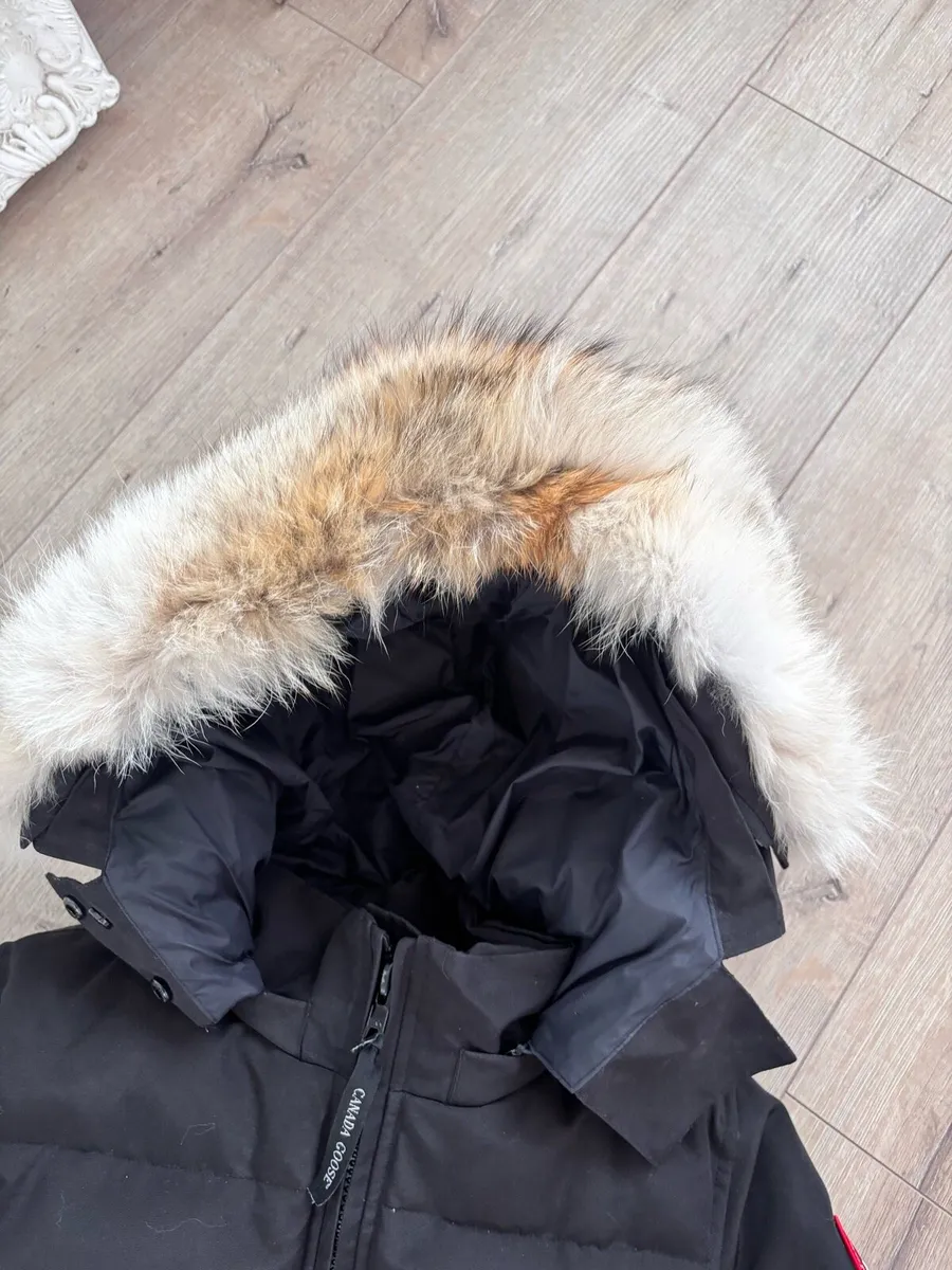 Canada Goose Jacket - Image 4