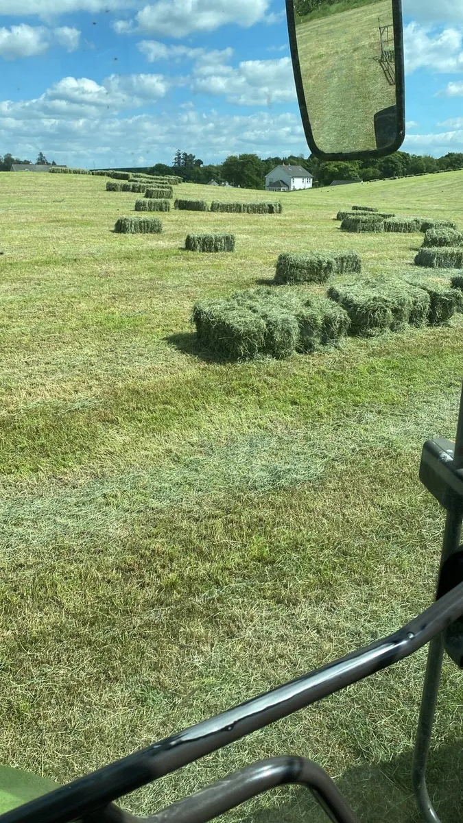 Haylage - Image 2