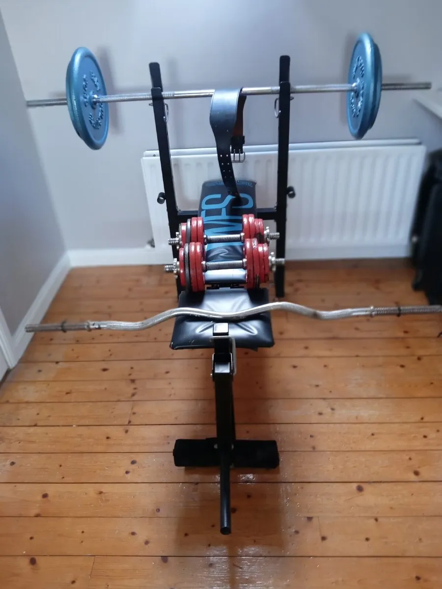 Weights & bench