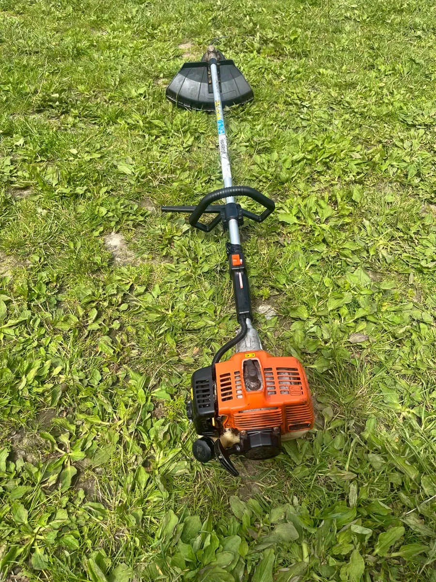 Strimmer - Image 1