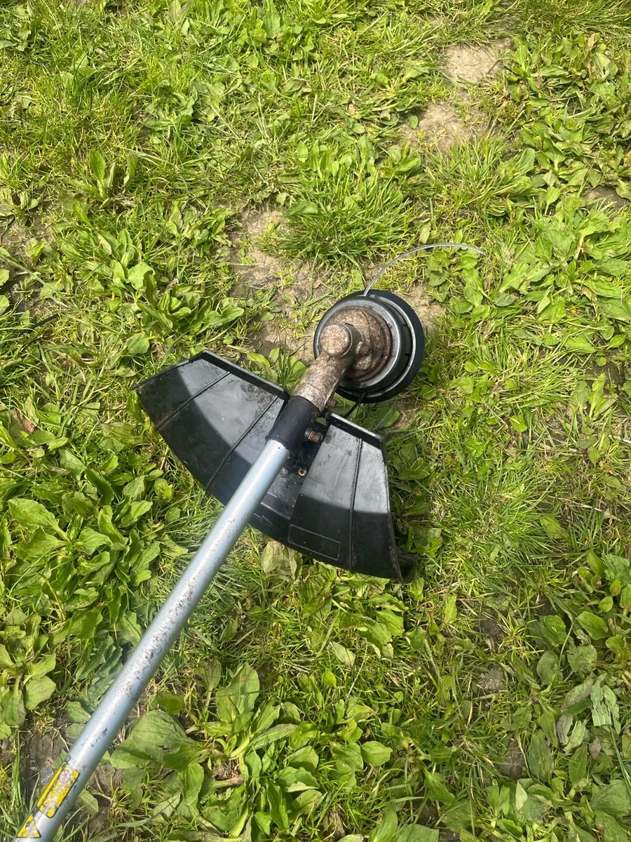 Strimmer - Image 3