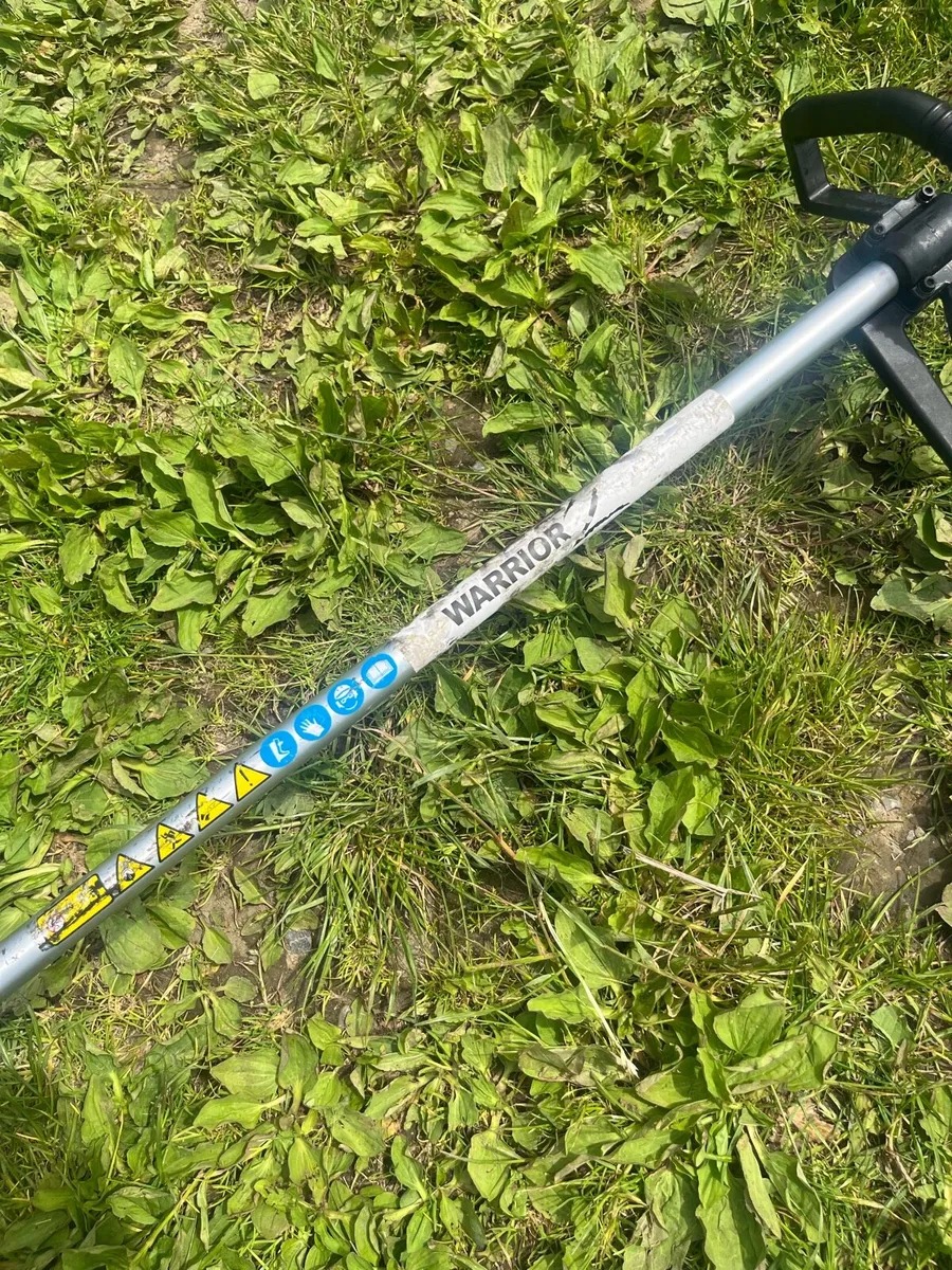 Strimmer - Image 4