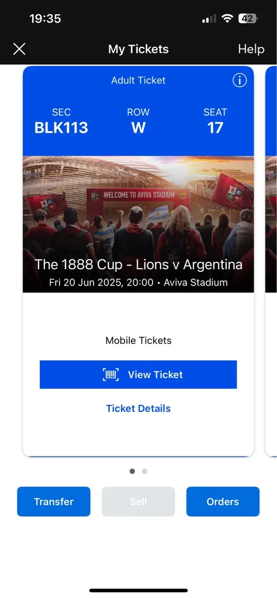 x2 Lions v Argentina Tickets - Image 2
