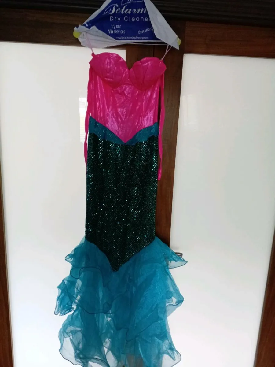 Selection of fancy dress/Halloween costumes - Image 1
