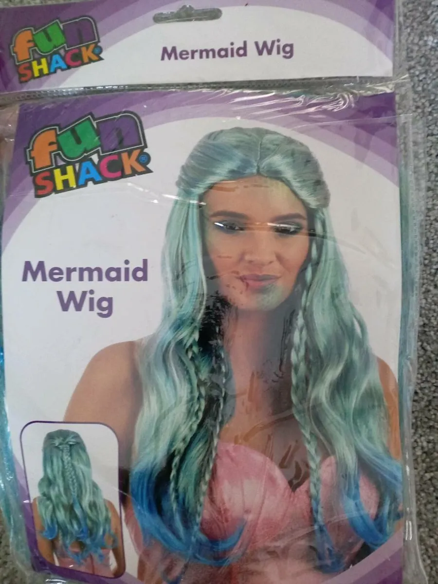 Selection of fancy dress/Halloween costumes - Image 2