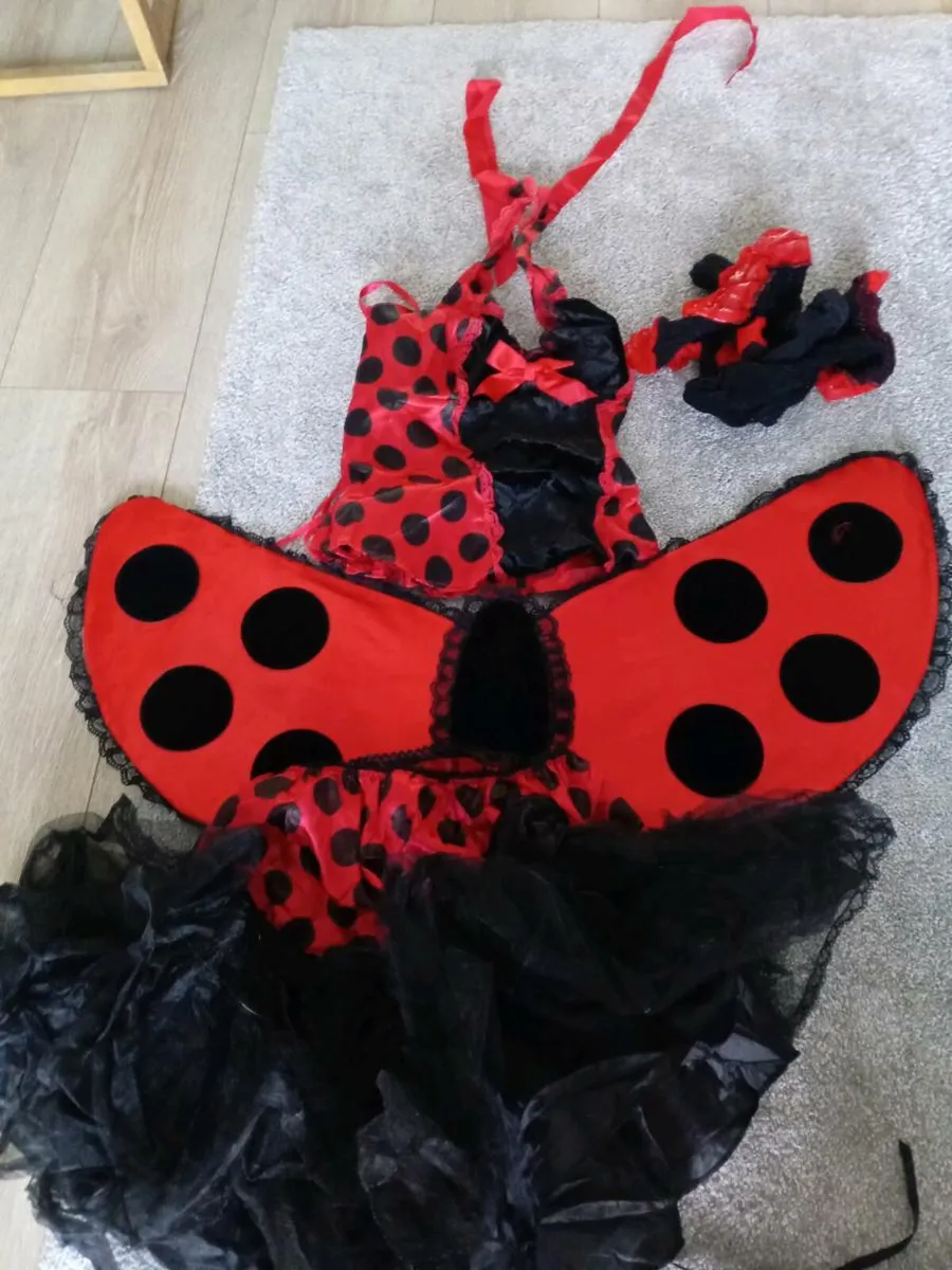 Selection of fancy dress/Halloween costumes - Image 3