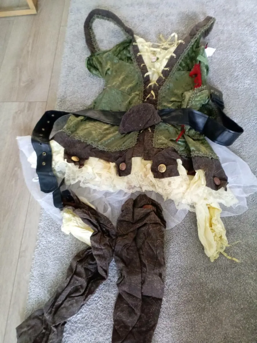 Selection of fancy dress/Halloween costumes - Image 4