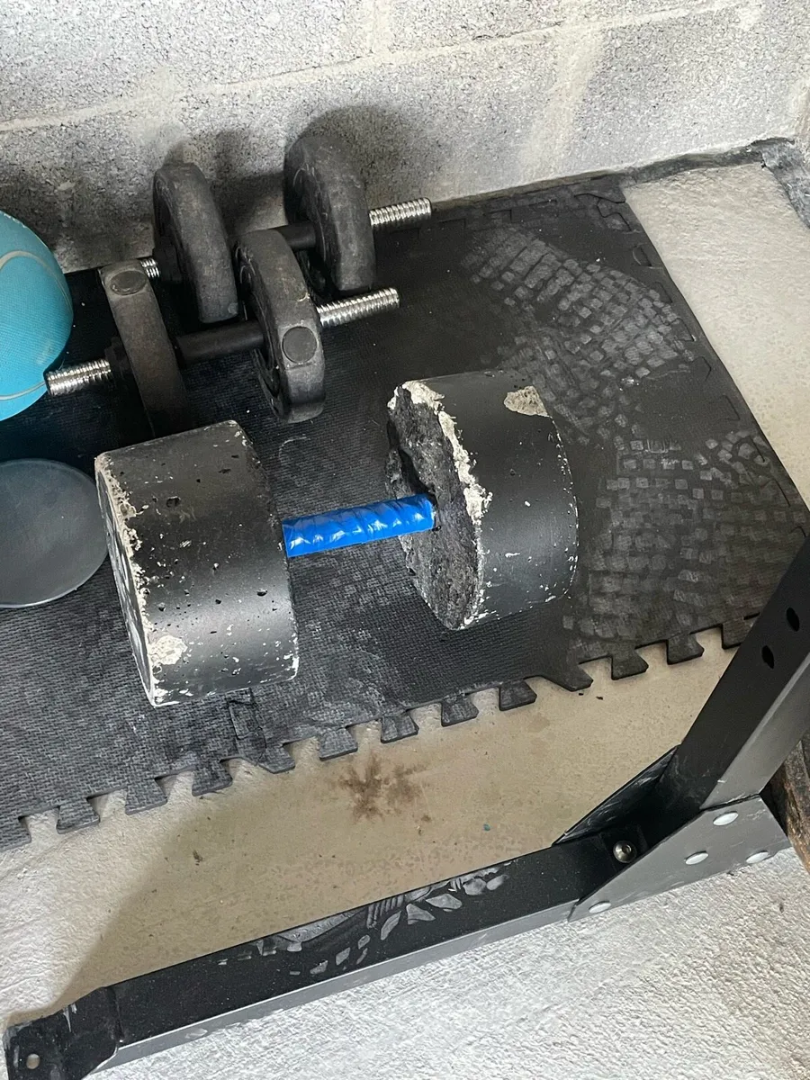 Gym Weights (Plates, Dumbbells) - Image 1