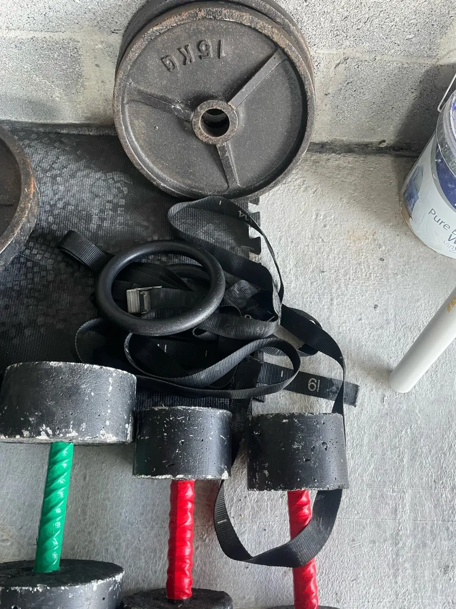 Gym Weights (Plates, Dumbbells) - Image 2