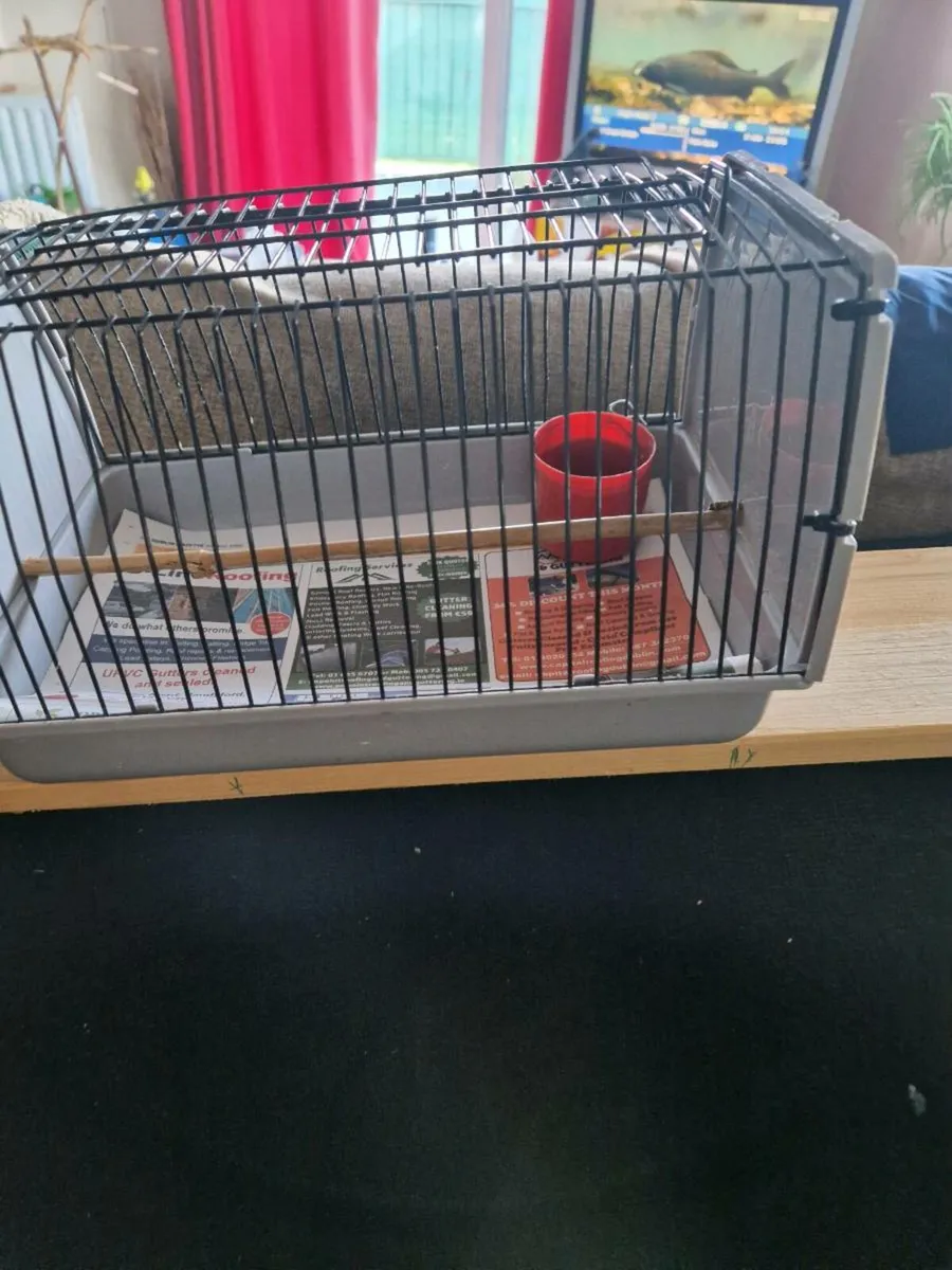 Bird cages - Image 4