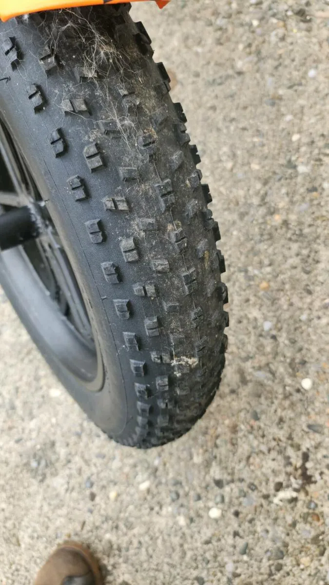 Electric bike ep pro - Image 2