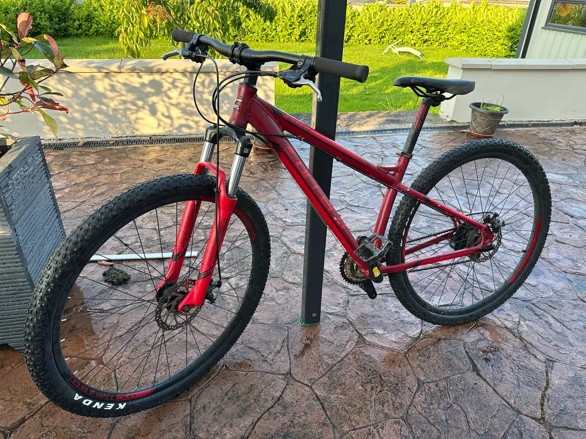 Bike - Image 1
