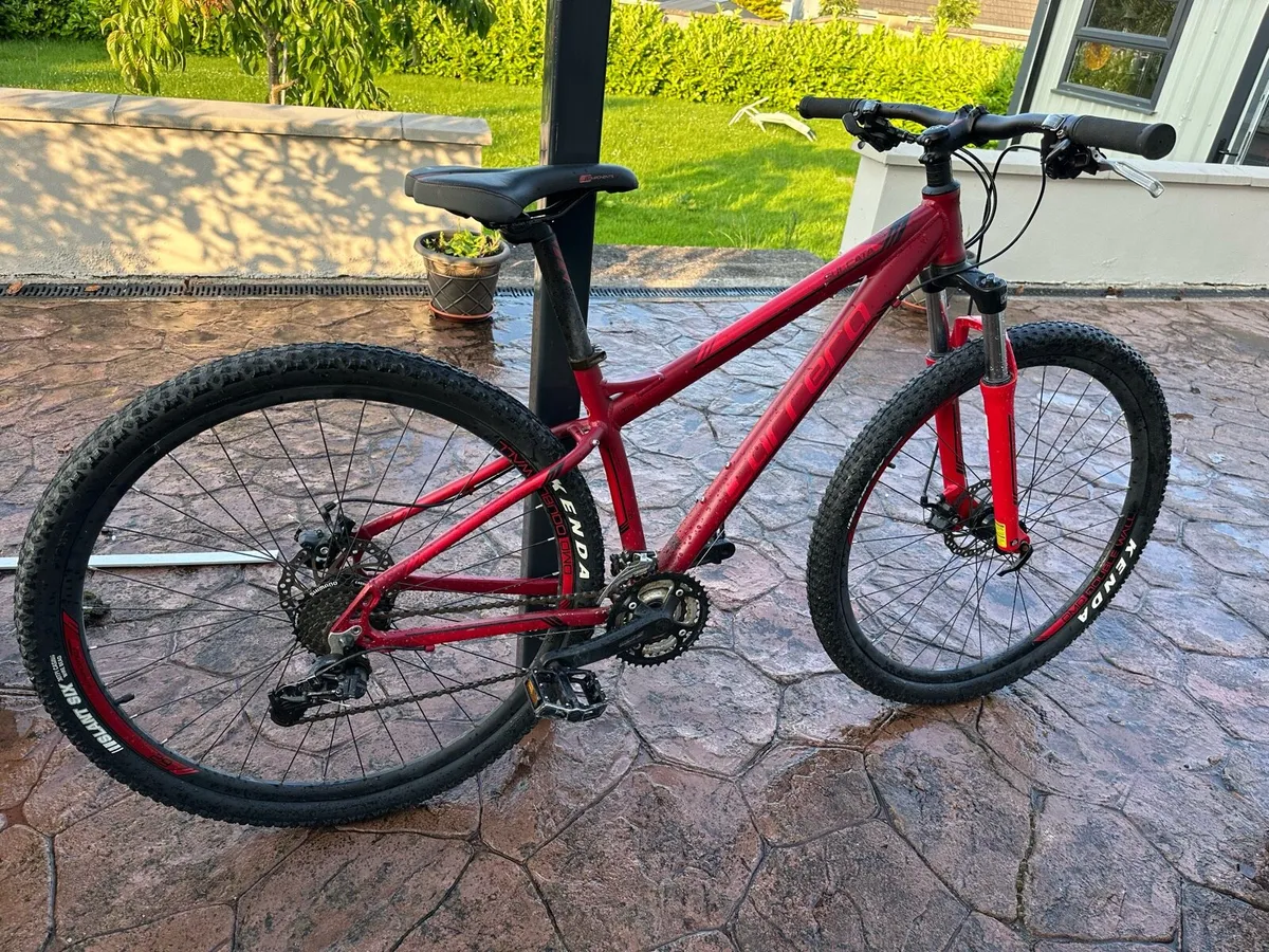 Bike - Image 2