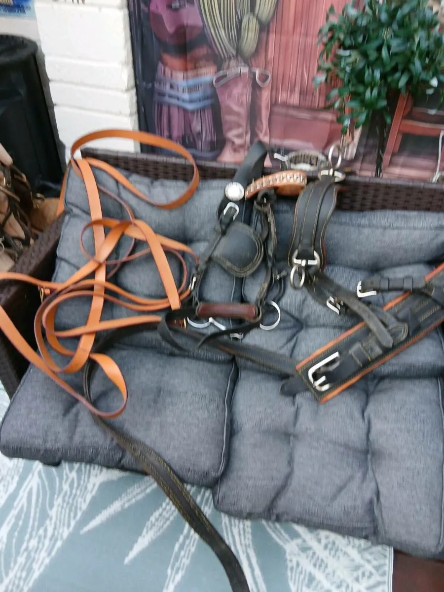 2 leather sets of Harness - Image 2